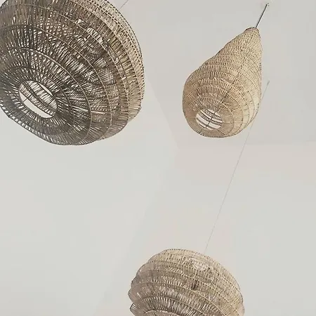 Carabassi 别墅 格兰阿利坎特